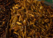 The snails spicy flavors Seafood Processing. stock photography The snails spicy flavors Seafood Processing. stock photography